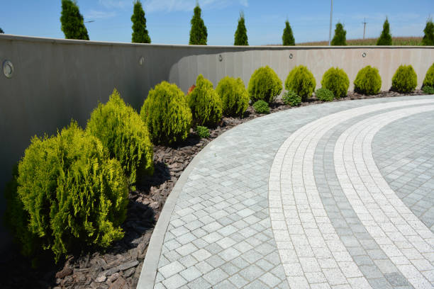 Best Driveway Resurfacing Pavers  in Rushvle, IL
